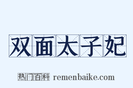 双面太子妃是什么意思的图片
